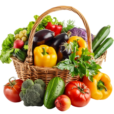 Grocery Delivery